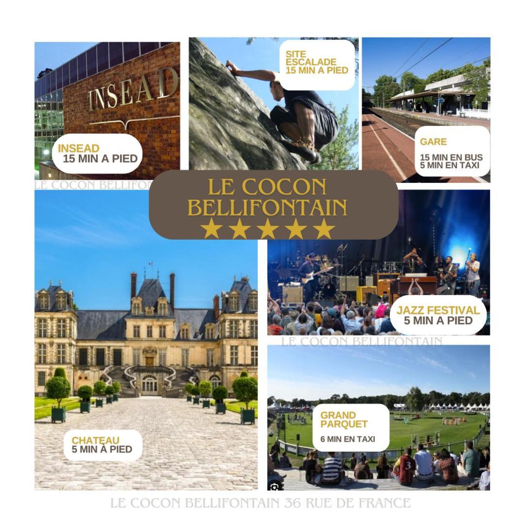 Le Cocon De Fontainebleau - Centre-Ville, Proche Insead & Chateau Buitenkant foto
