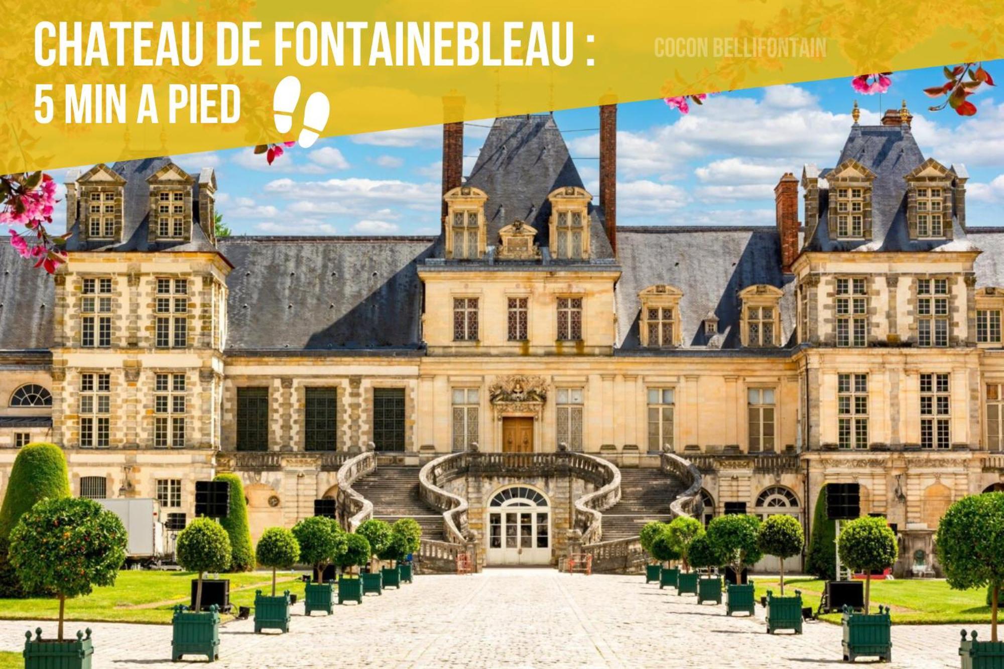 Le Cocon De Fontainebleau - Centre-Ville, Proche Insead & Chateau Buitenkant foto